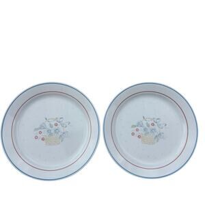 Corelle Corning Vintage Country Cornflower Dinner Plates (2)